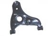 Brazo de suspensión Control Arm:G030-34-300F