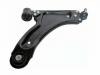 Control Arm:13140038