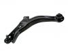 Brazo de suspensión Control Arm:EC01-34-350F