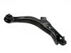 Control Arm:EC01-34-300F