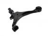 Control Arm:51360-S9A-A01