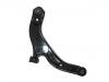 Brazo de suspensión Control Arm:B28V-34-300B