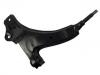 Brazo de suspensión Control Arm:B001-34-310C