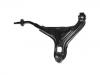 Control Arm:48069-87704