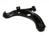 Control Arm:48069-B1020