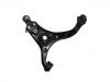 Control Arm:54500-4D001