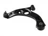 Control Arm:48069-B2050