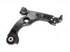 Brazo de suspensión Control Arm:505 13 442