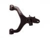 Control Arm:44502-32003