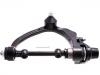 Brazo de suspensión Control Arm:54410-4E000