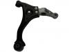 Control Arm:54500-3F600