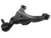 Brazo de suspensión Control Arm:48069-60020