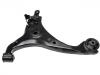 Control Arm:54500-1M100