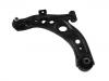 Control Arm:48069-B1081