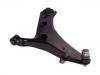 Control Arm:20202-SG010