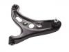 Control Arm:20202-CA000