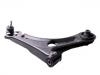 Brazo de suspensión Control Arm:9065278