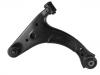 Control Arm:48069-BZ010